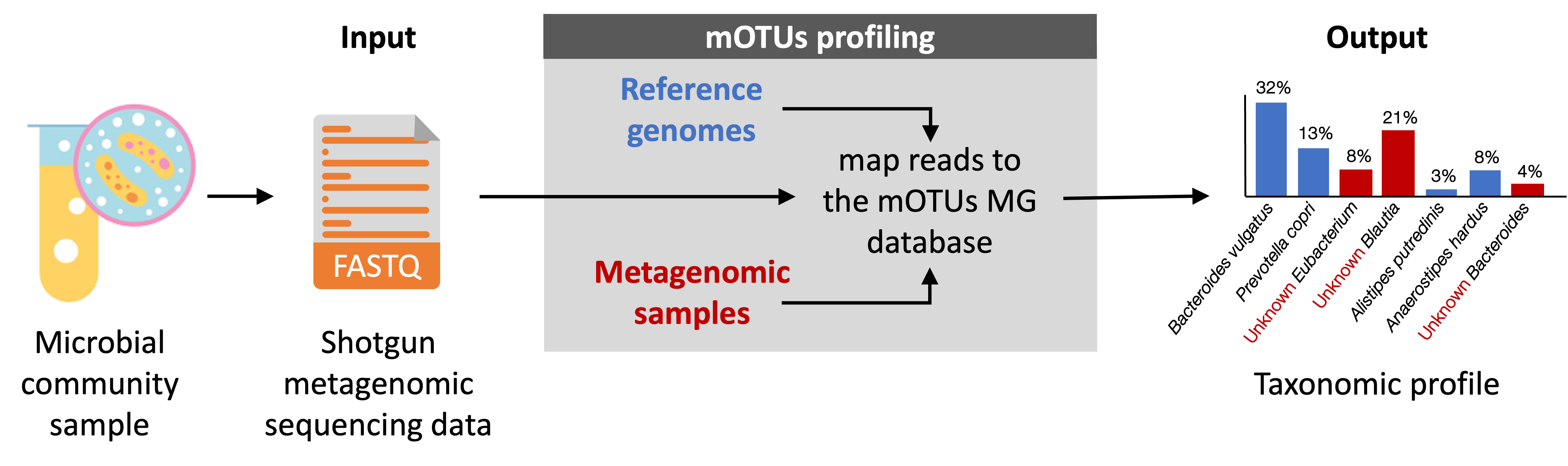 _images/figure1_motus_in_brief.png