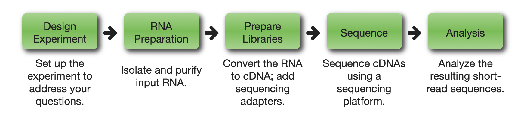 ../../../_images/overview_rna_seq1.png