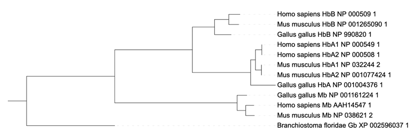 ../../_images/phylo_ex1_tree.png