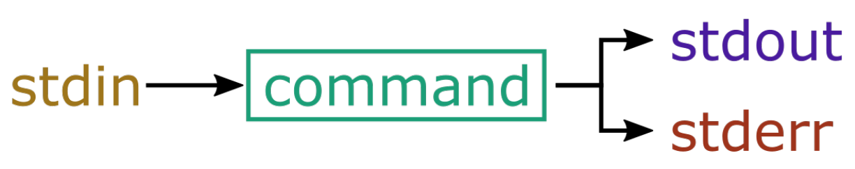 Inputs and outputs — Practical Training in Bioinformatics