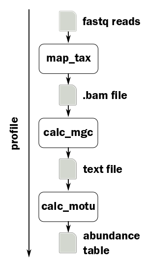 motus_profile