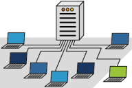 Practical Training in Bioinformatics